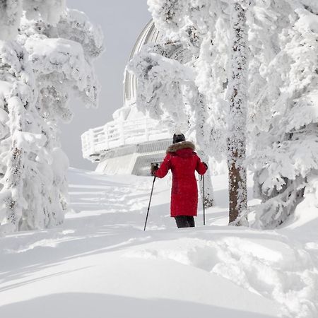 Chalets Du Domaine - De Luxe Notre-Dame-Des-Bois Buitenkant foto