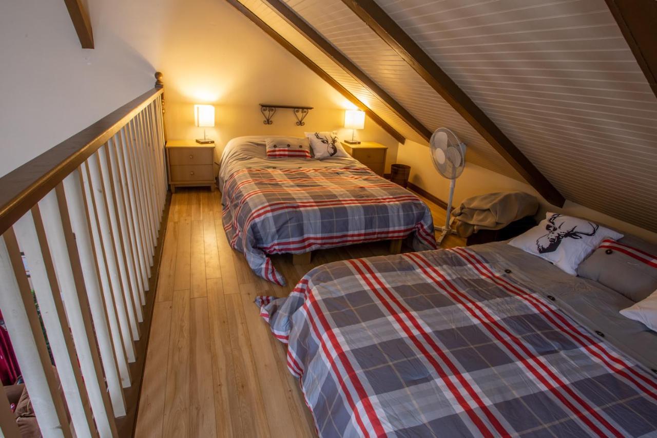 Chalets Du Domaine - De Luxe Notre-Dame-Des-Bois Buitenkant foto
